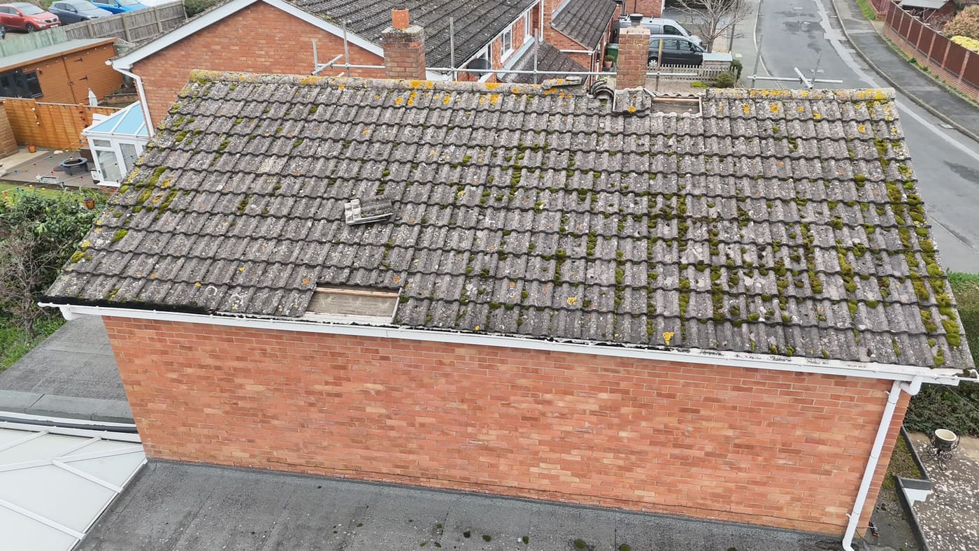 Moss removal 04