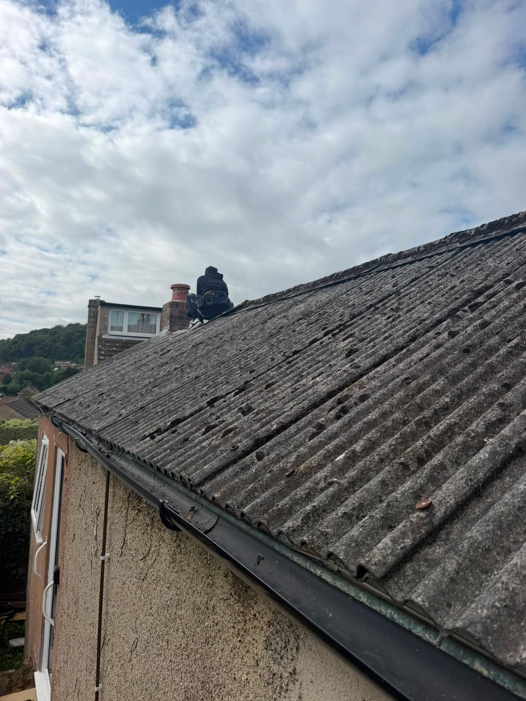 Moss removal 06